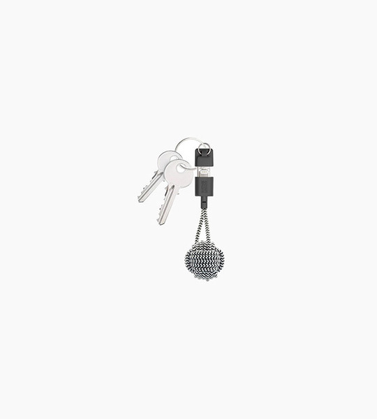 Native union key cable zebra
